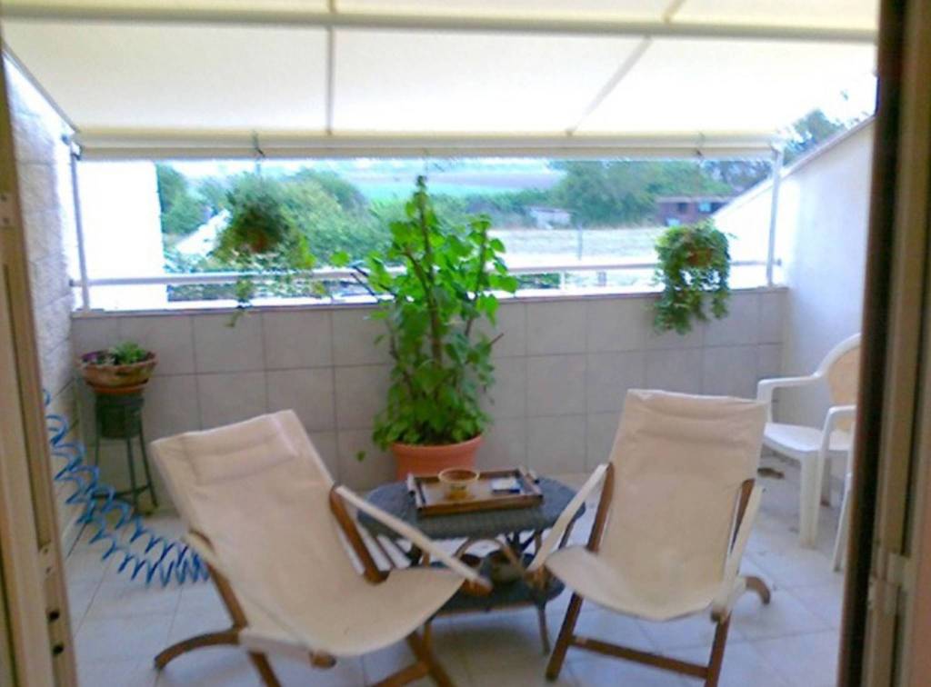 immagine annuncio 9 di 14