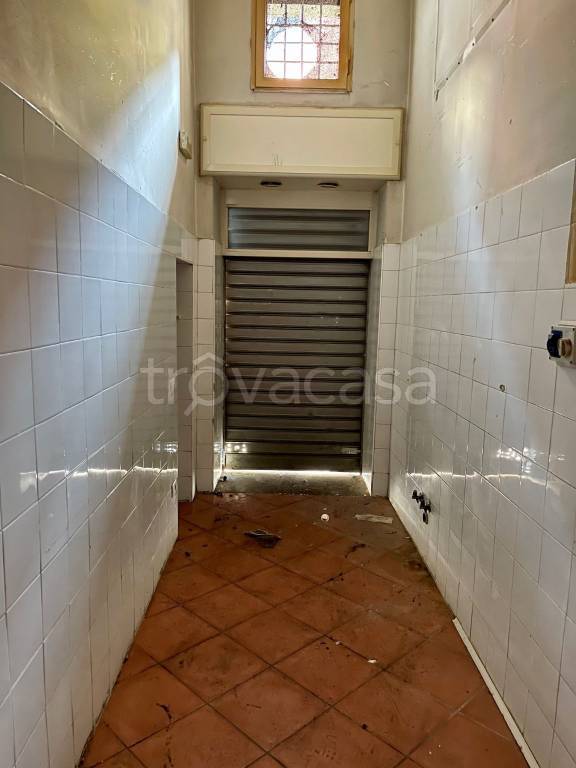 immagine annuncio 4 di 7
