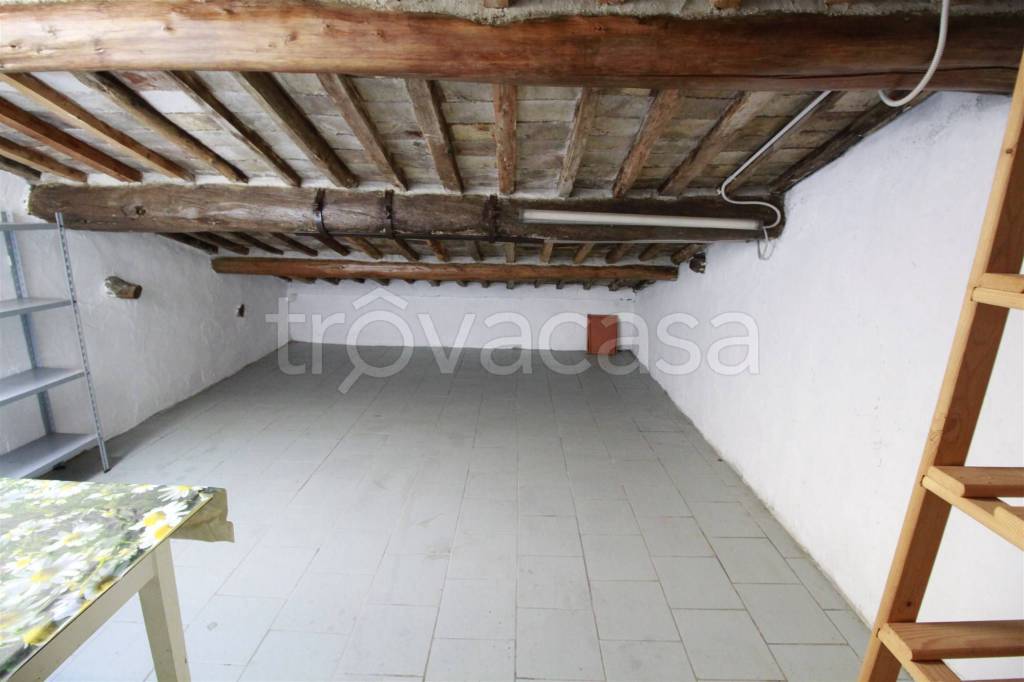 immagine annuncio 12 di 14