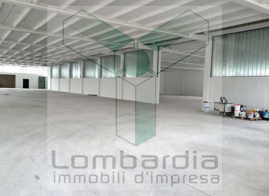 immagine annuncio 3 di 9
