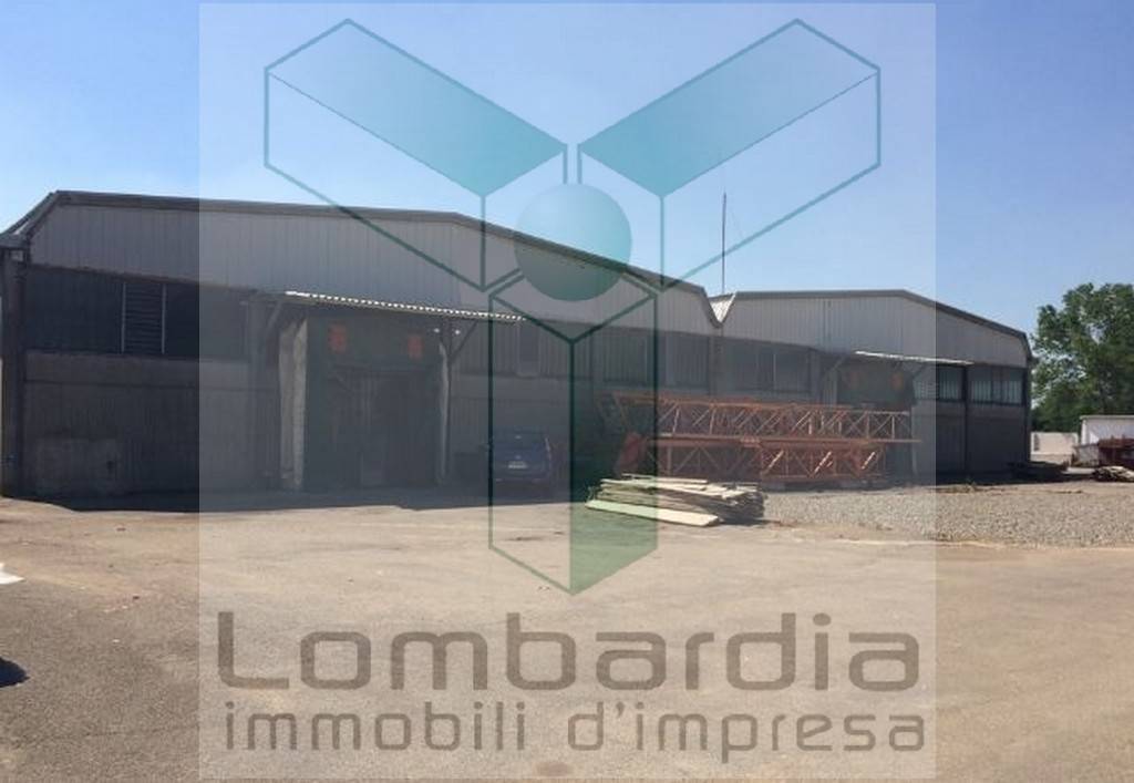 immagine annuncio 1 di 9