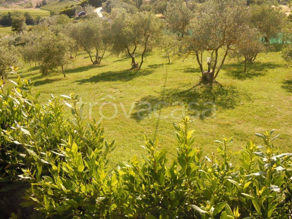 immagine annuncio 5 di 13