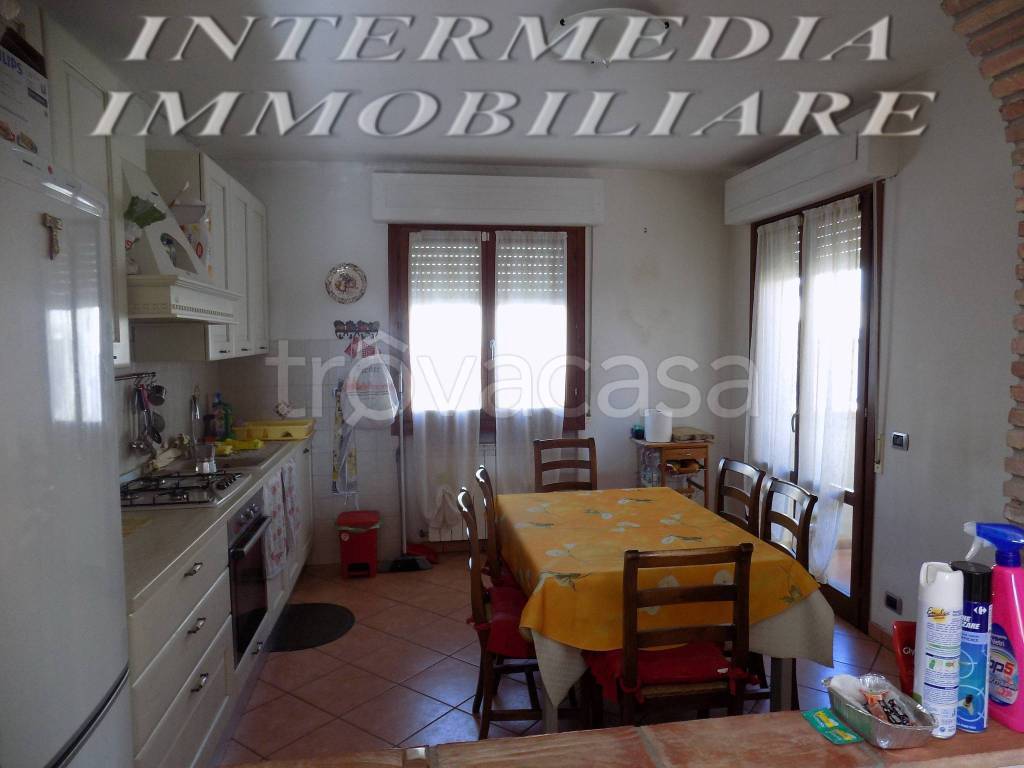 immagine annuncio 11 di 14