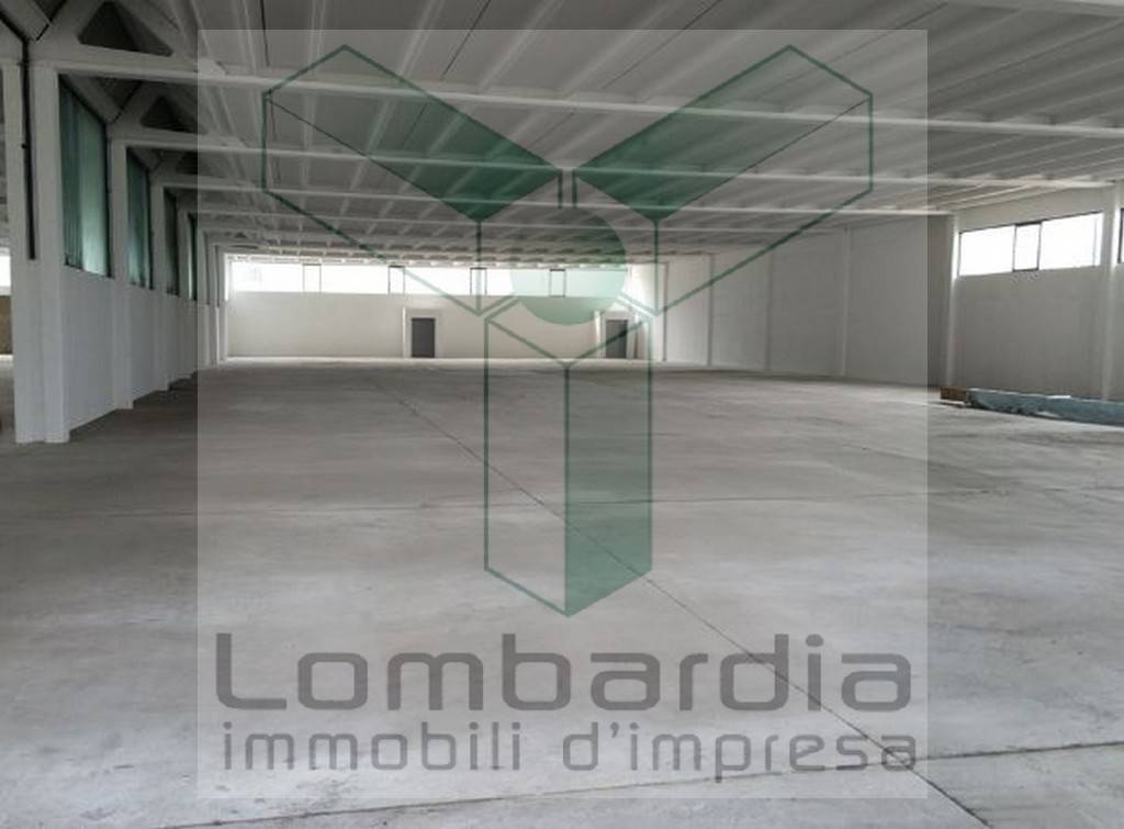 immagine annuncio 4 di 9