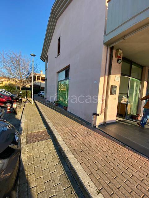 immagine annuncio 1 di 7