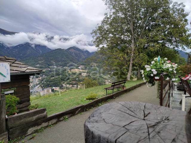 immagine annuncio 10 di 15