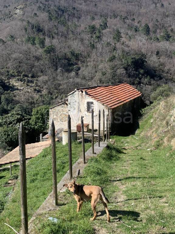 immagine annuncio 13 di 14