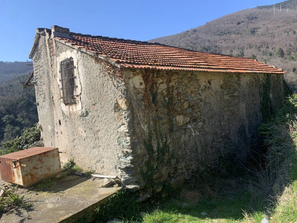 immagine annuncio 7 di 14