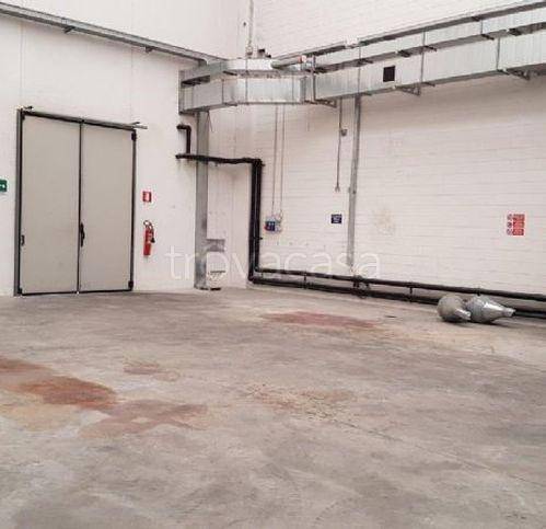 immagine annuncio 4 di 8