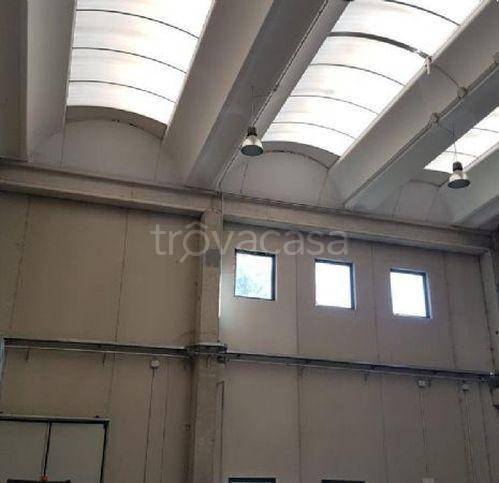 immagine annuncio 5 di 8