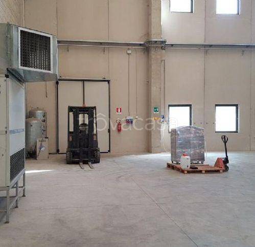 immagine annuncio 6 di 8