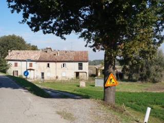 Casale in in vendita da privato a polesine zibello via argine maestro, 4