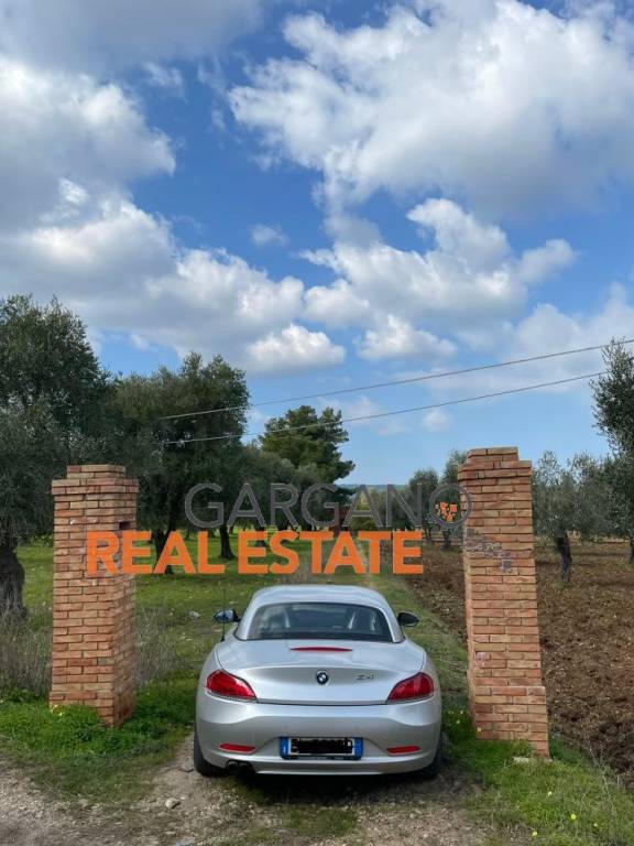 immagine annuncio 11 di 14