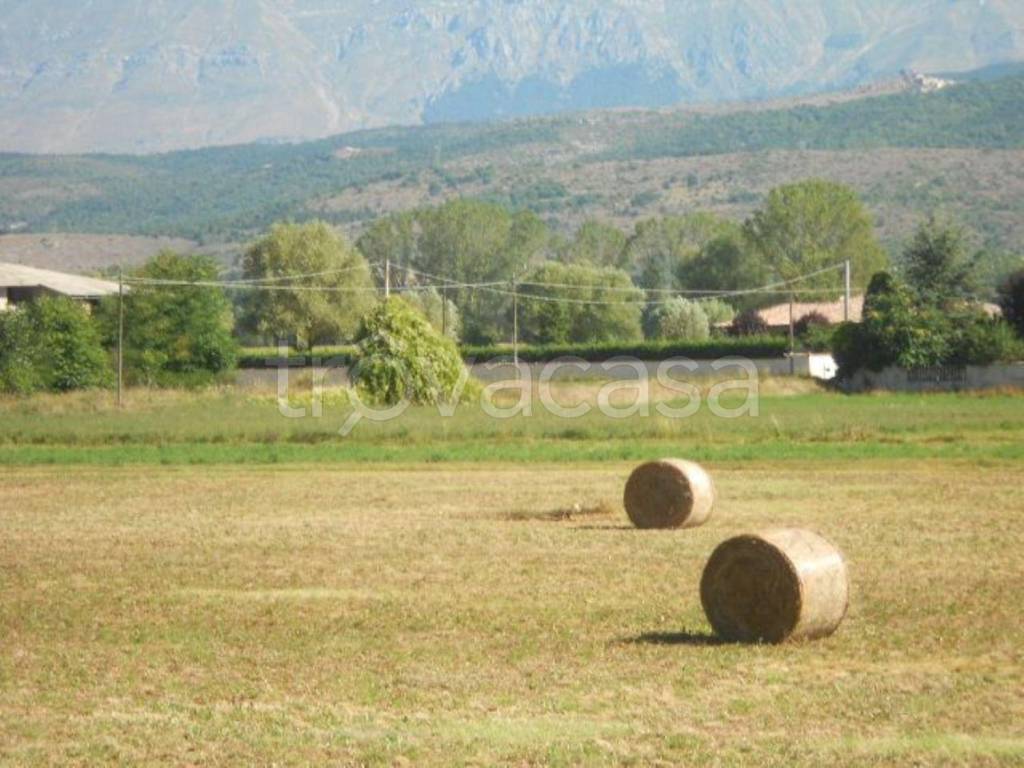 immagine annuncio 10 di 13