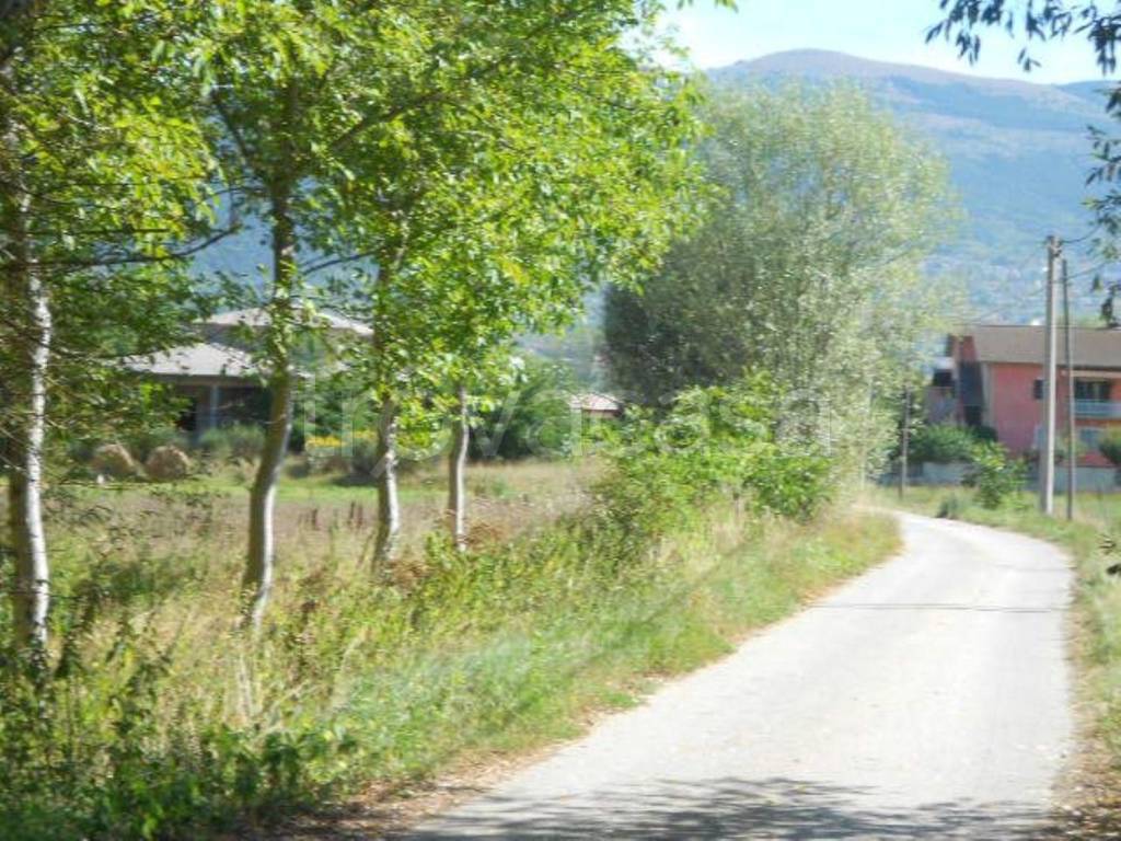 immagine annuncio 9 di 13