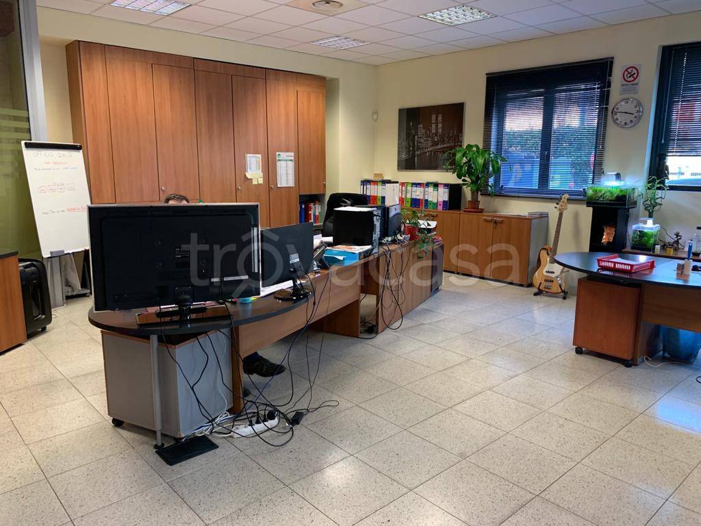 immagine annuncio 12 di 15
