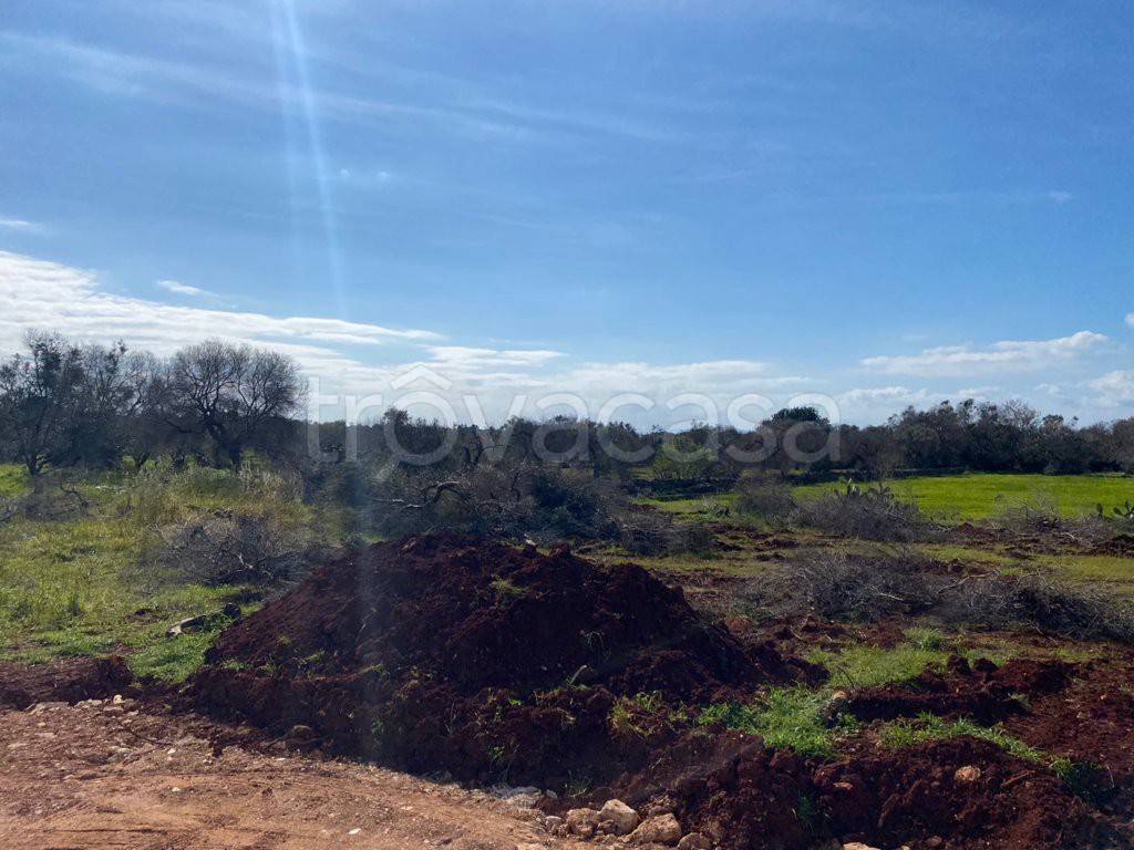 immagine annuncio 2 di 8