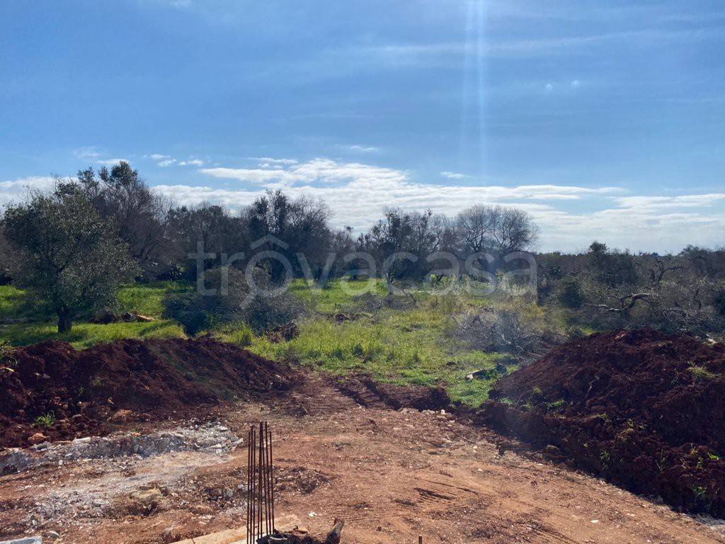 immagine annuncio 5 di 8