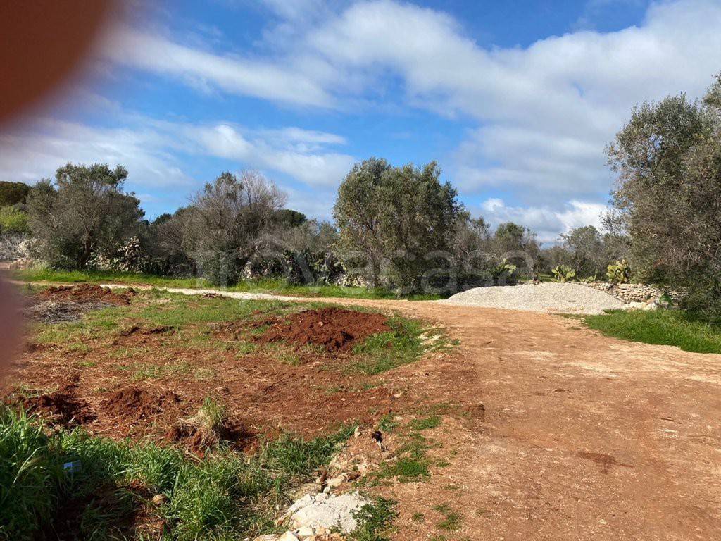 immagine annuncio 6 di 8