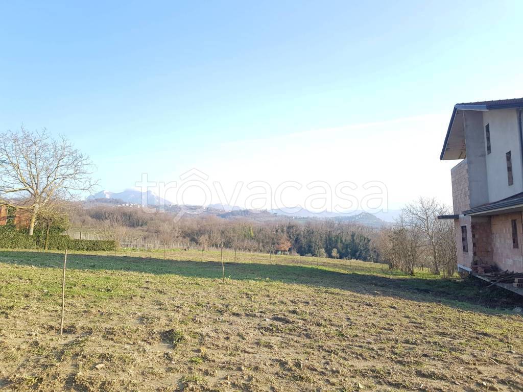 immagine annuncio 2 di 8