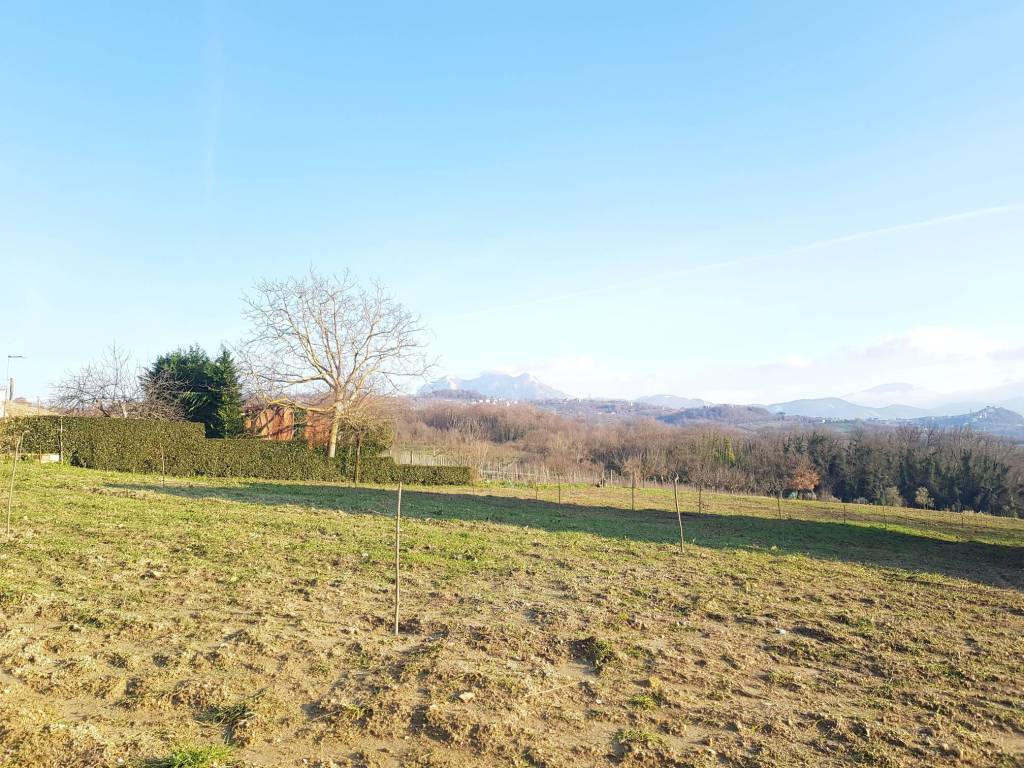 immagine annuncio 3 di 8