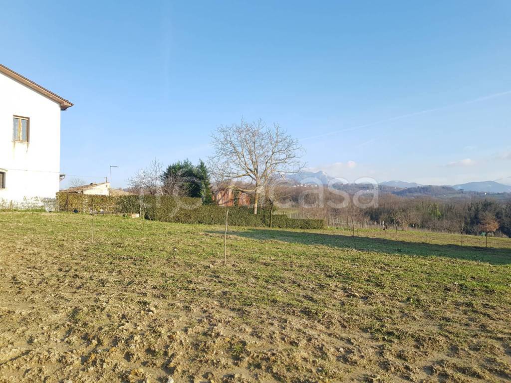 immagine annuncio 4 di 8