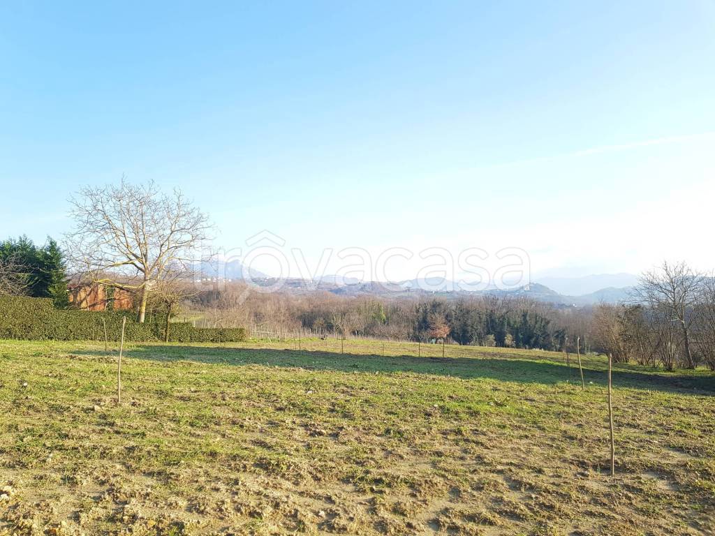 immagine annuncio 5 di 8