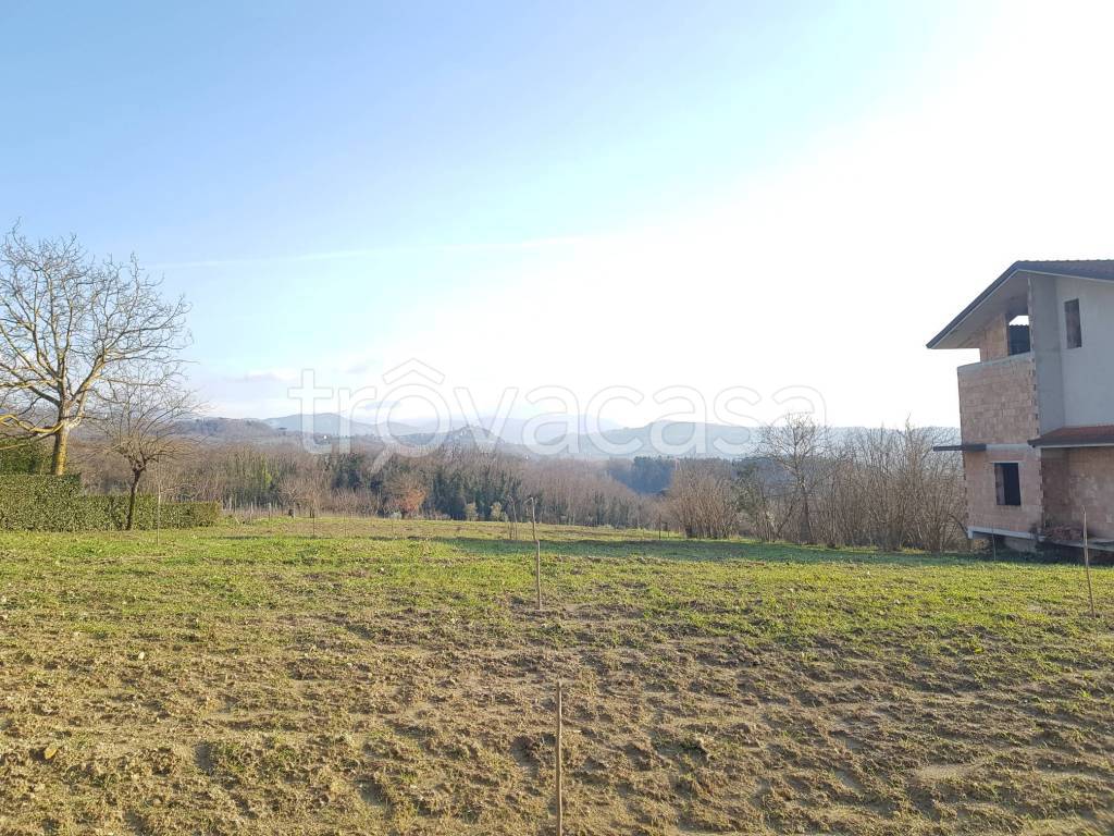 immagine annuncio 6 di 8