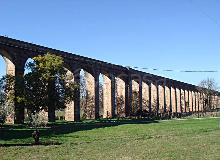 immagine annuncio 10 di 14