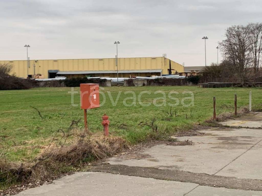 immagine annuncio 11 di 15