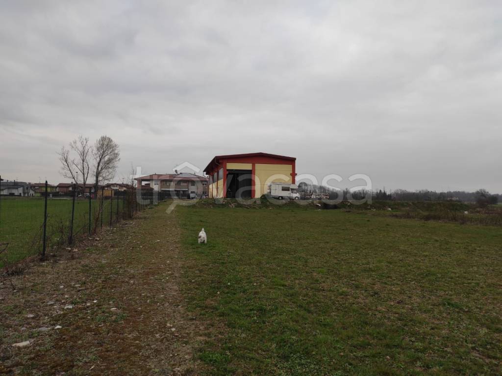 immagine annuncio 9 di 15