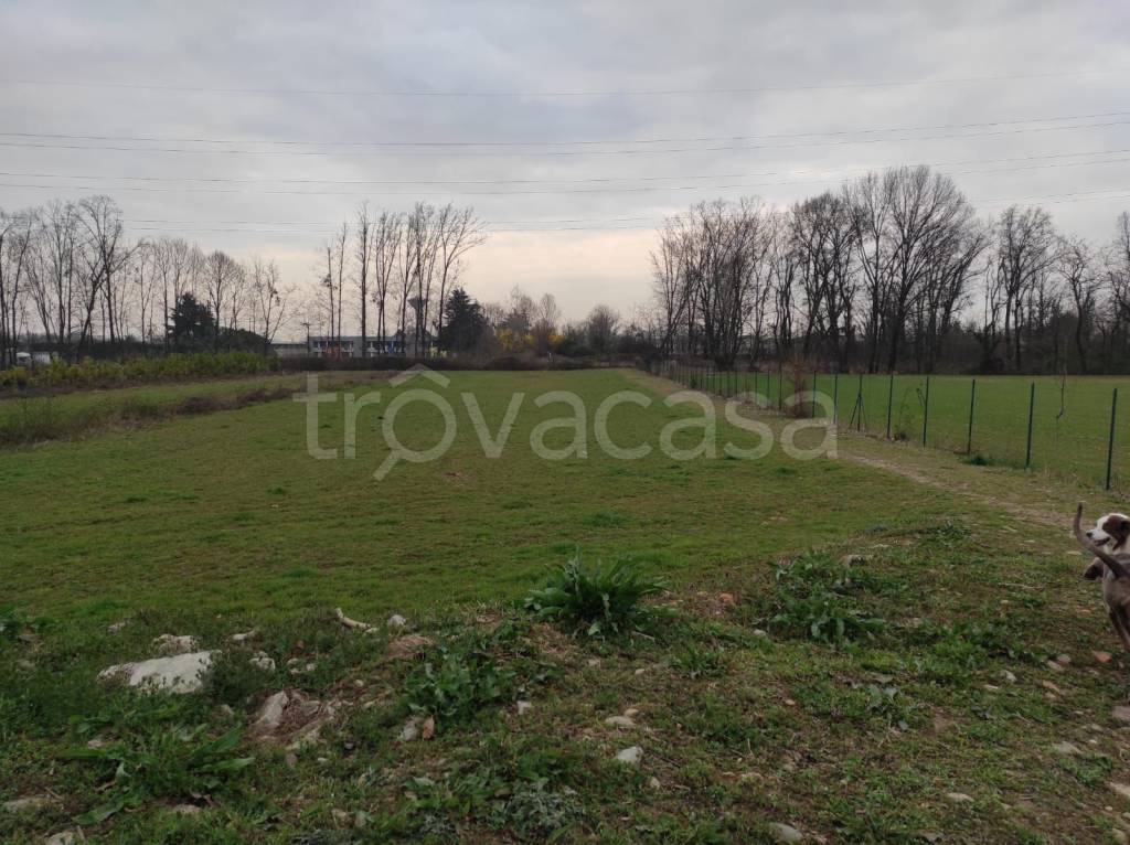 immagine annuncio 11 di 15