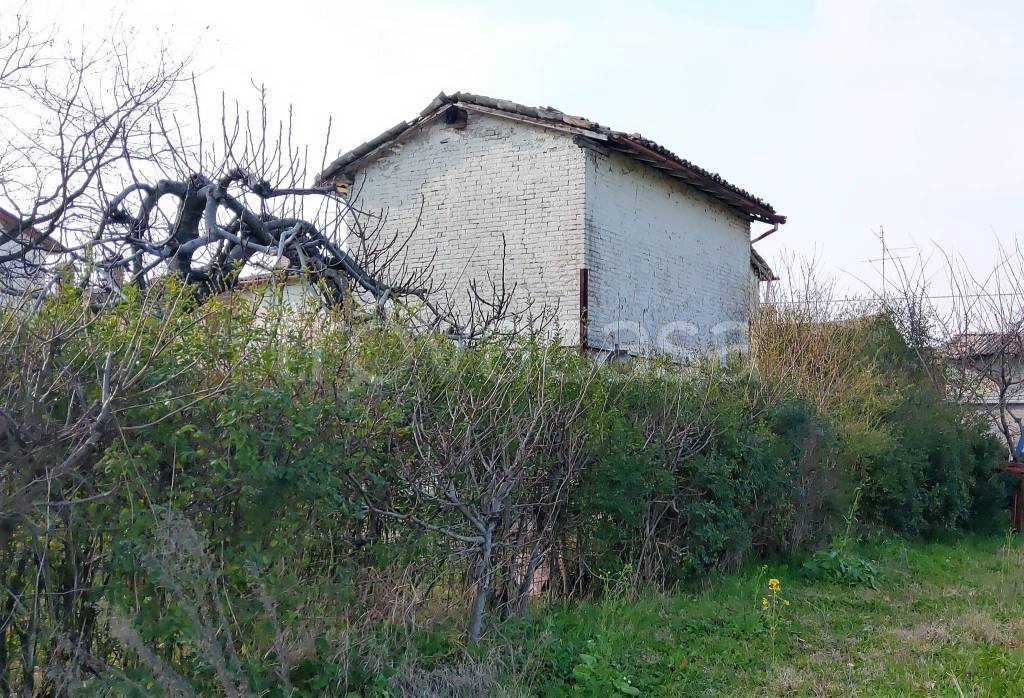 immagine annuncio 5 di 11