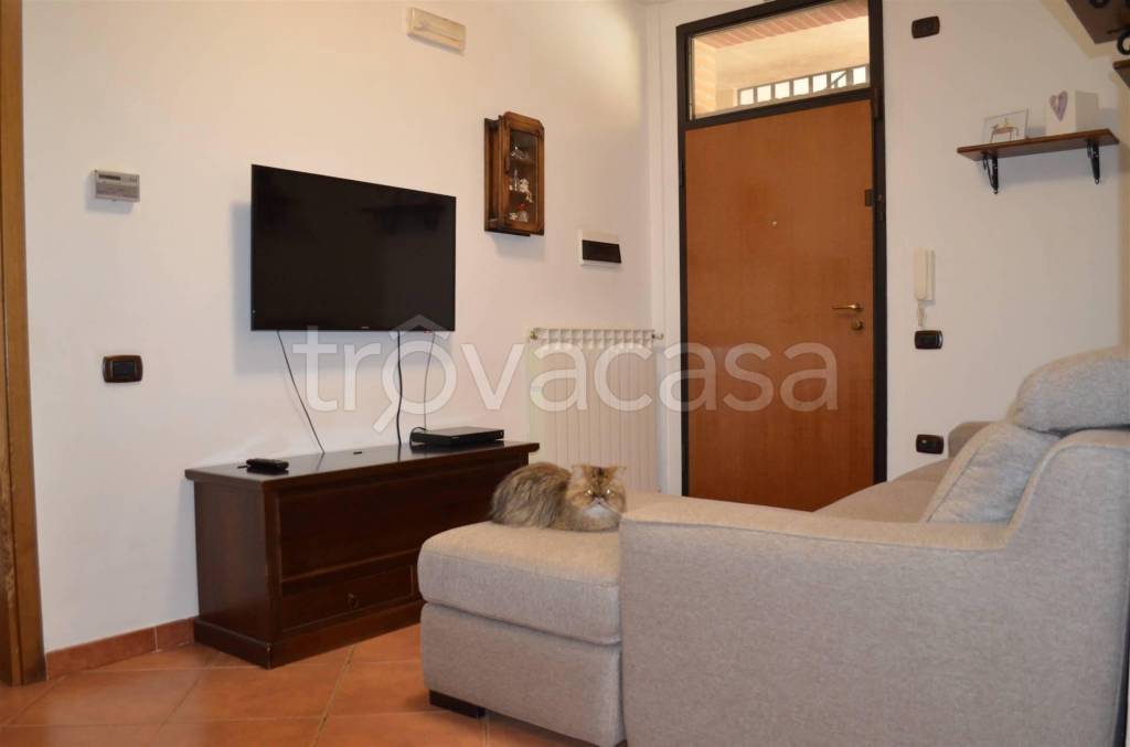 immagine annuncio 3 di 11