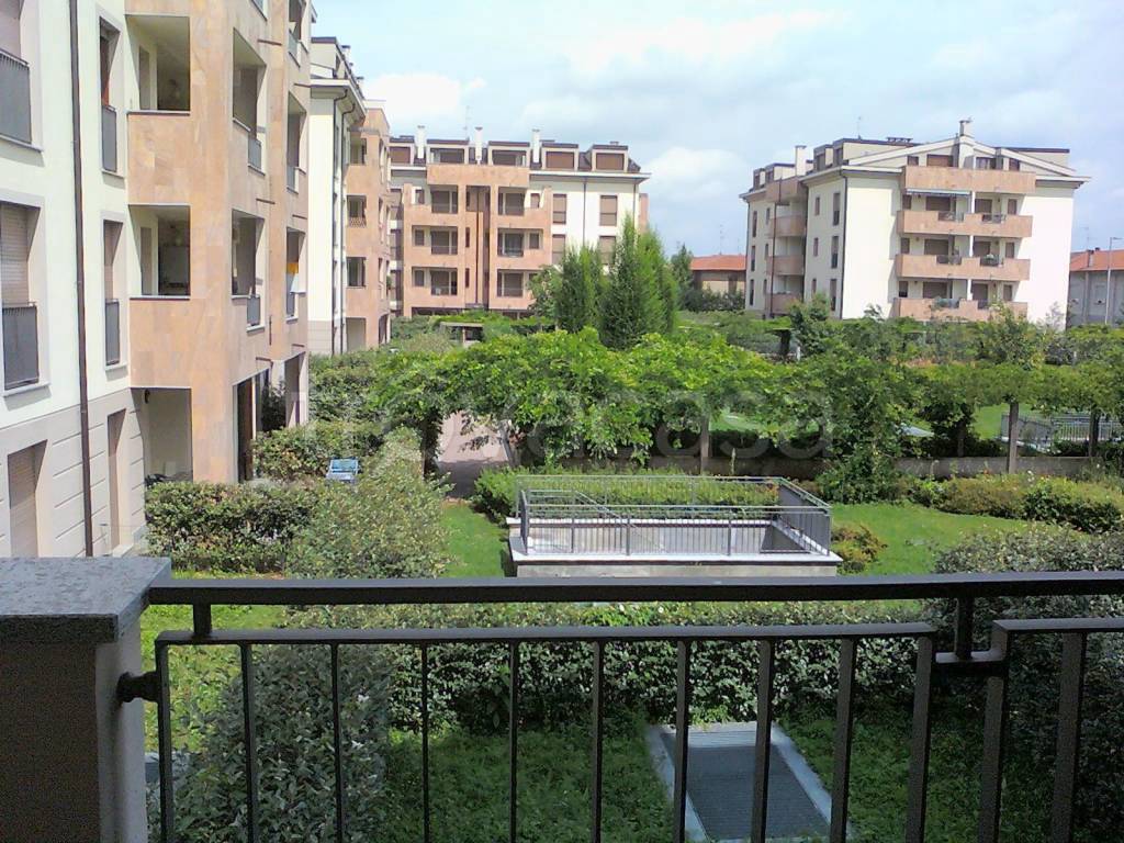 immagine annuncio 1 di 12