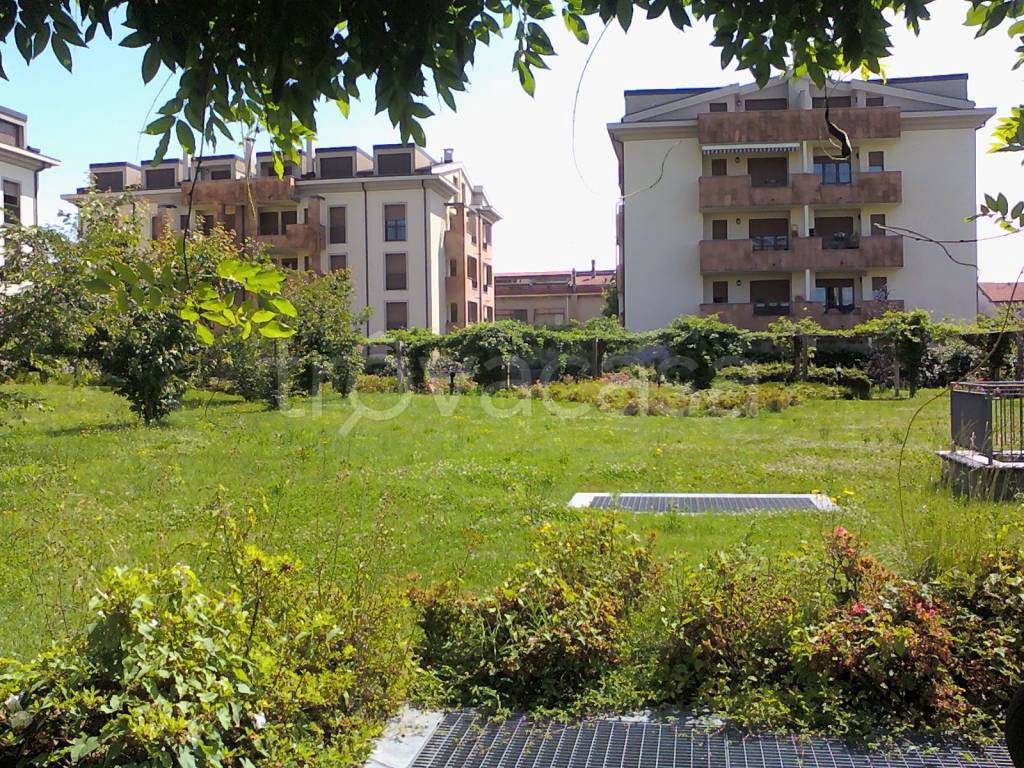 immagine annuncio 11 di 12
