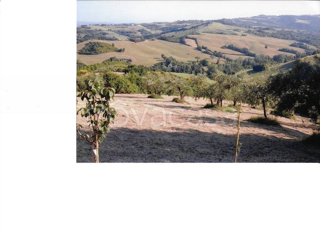 Terreno Agricolo in vendita a Montefiore Conca