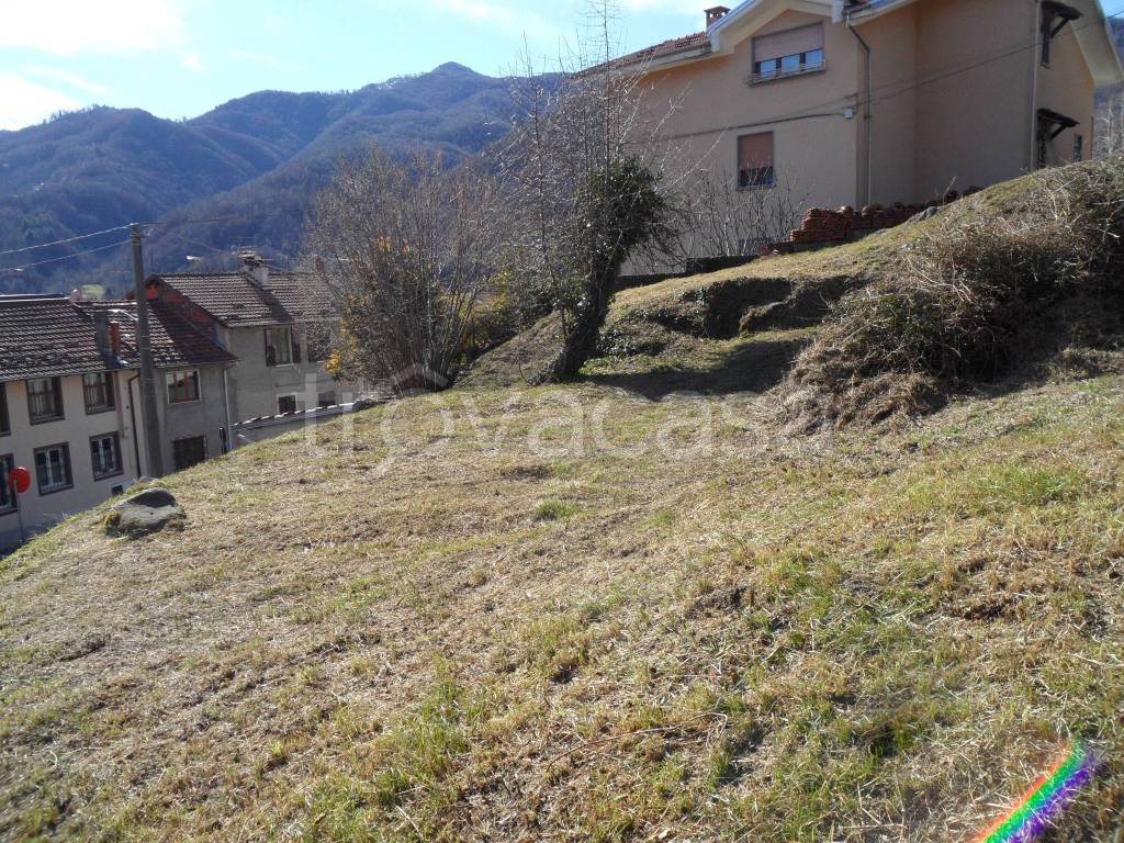 immagine annuncio 3 di 14