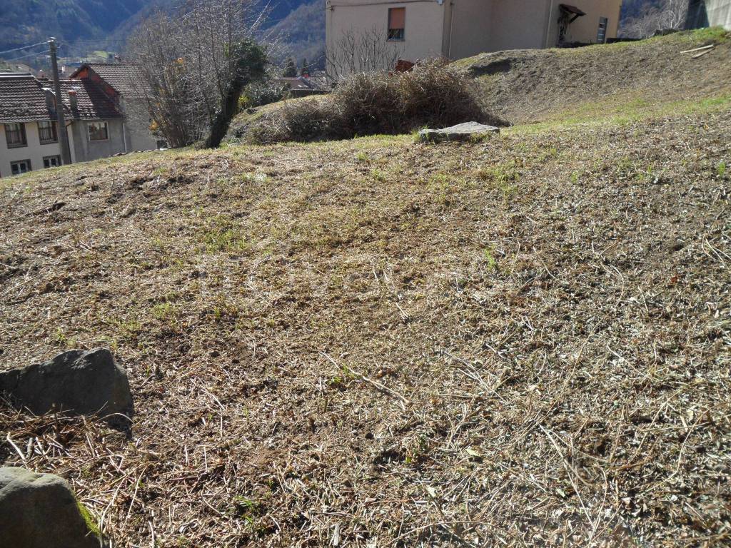 immagine annuncio 7 di 14