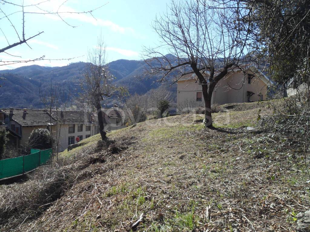 immagine annuncio 12 di 14