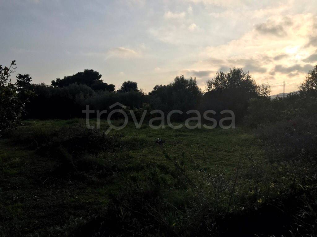 immagine annuncio 2 di 7