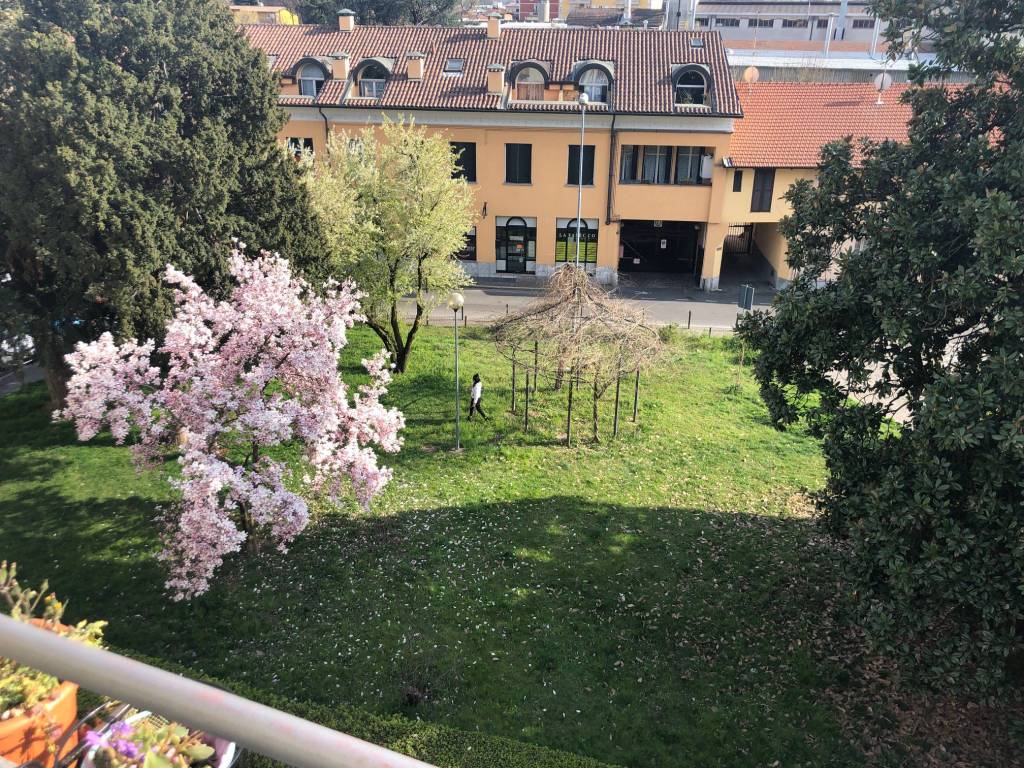 immagine annuncio 11 di 12