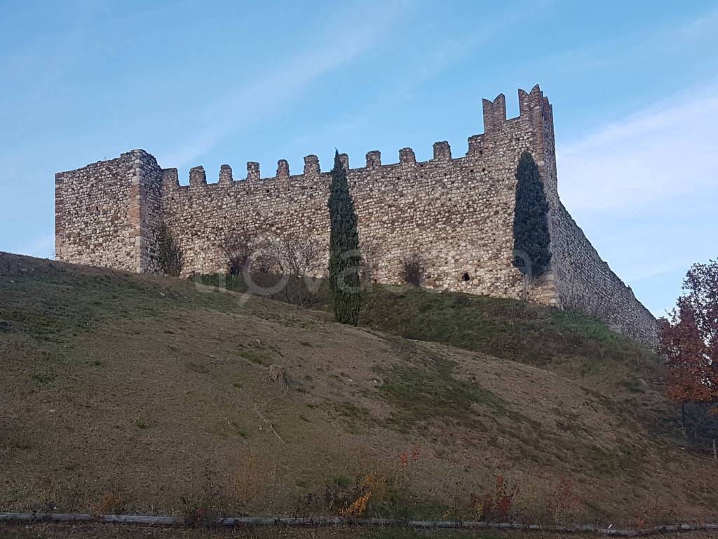 immagine annuncio 10 di 13
