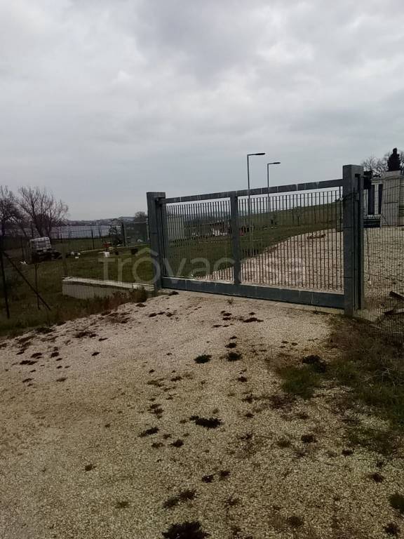 immagine annuncio 1 di 8