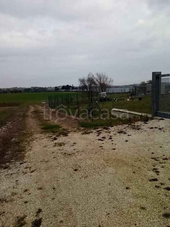 immagine annuncio 2 di 8