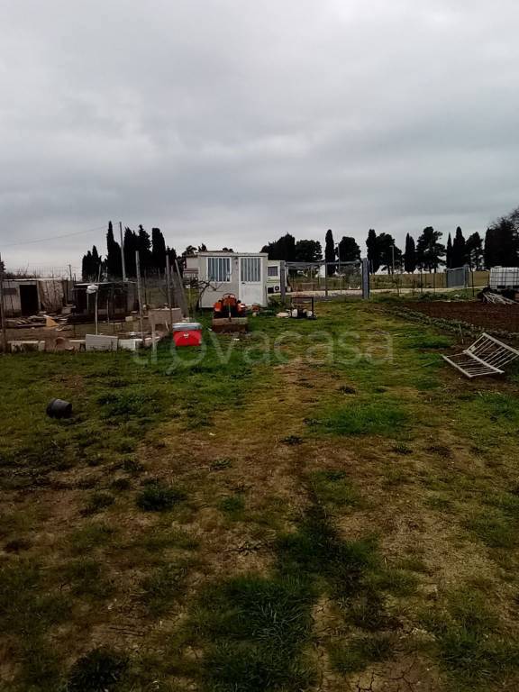 immagine annuncio 4 di 8