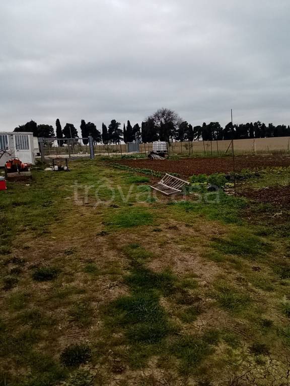 immagine annuncio 7 di 8