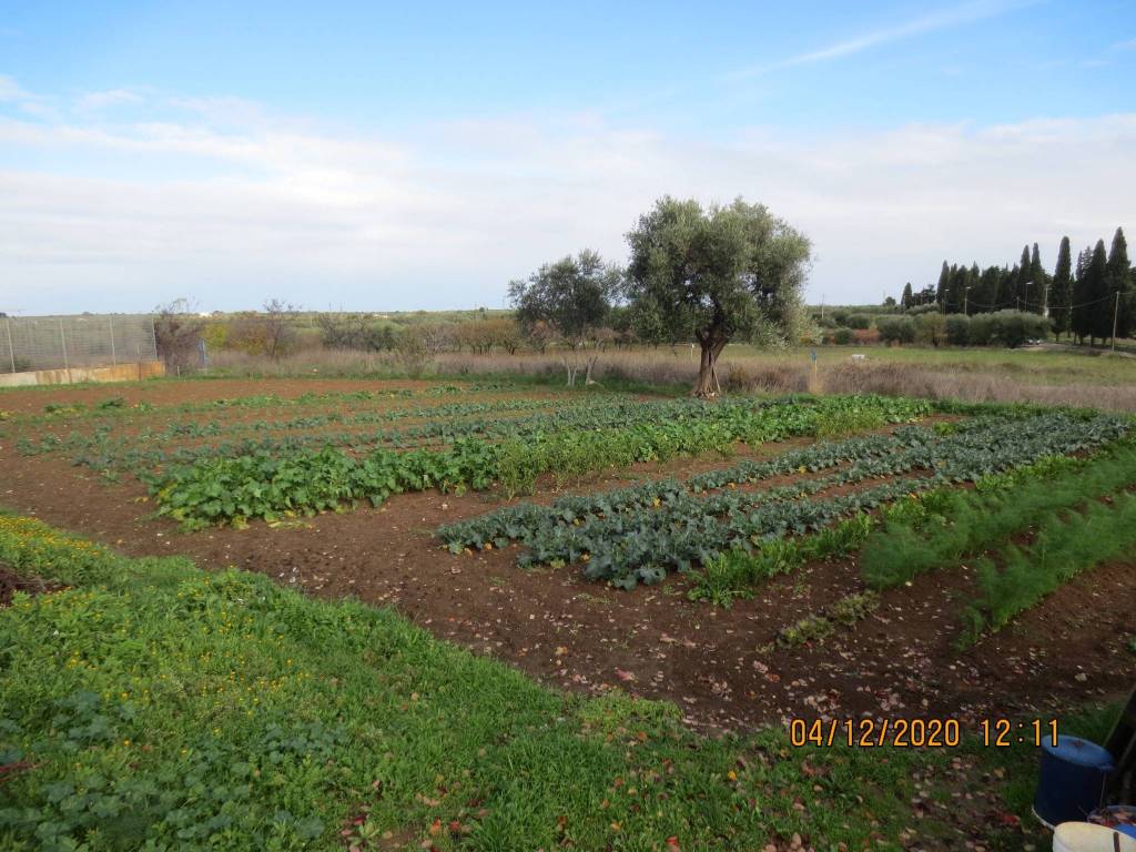 Terreno Agricolo in vendita a Cassano delle Murge via Adelfia, 19