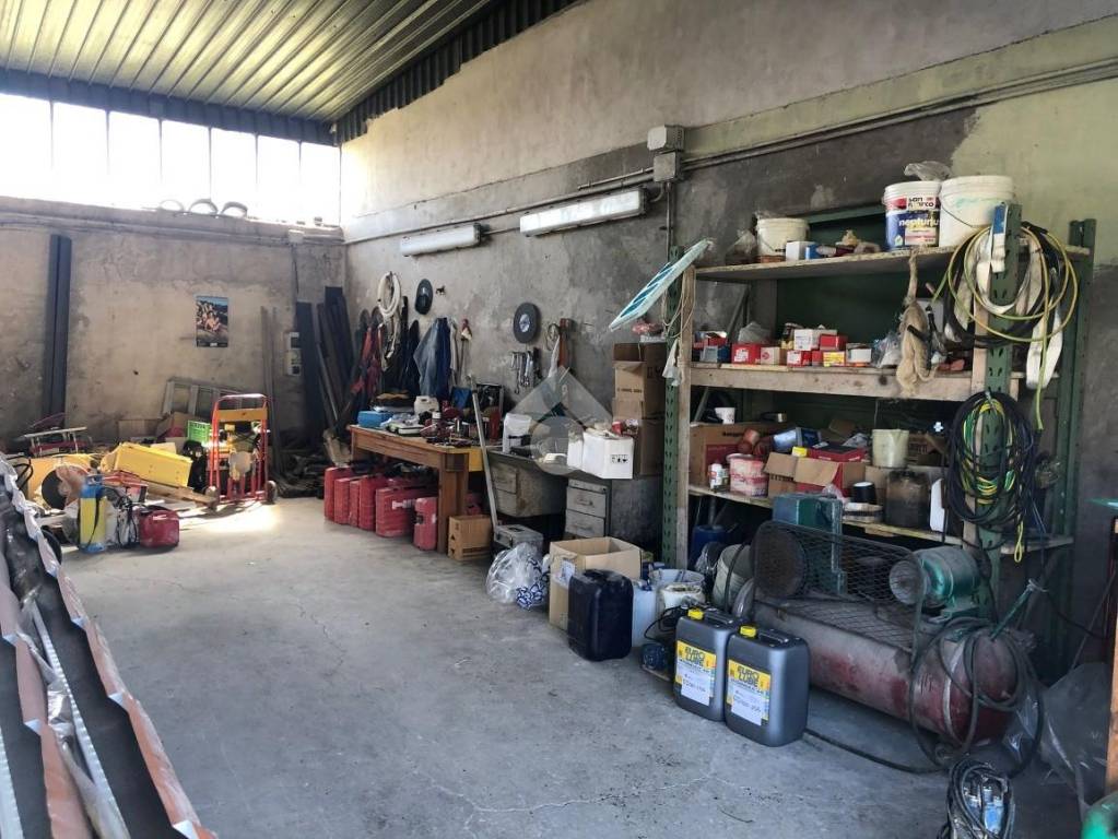 immagine annuncio 4 di 15