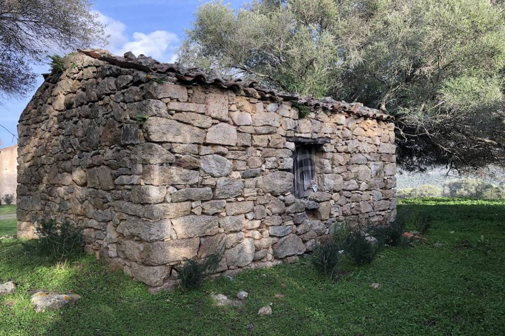 immagine annuncio 9 di 14